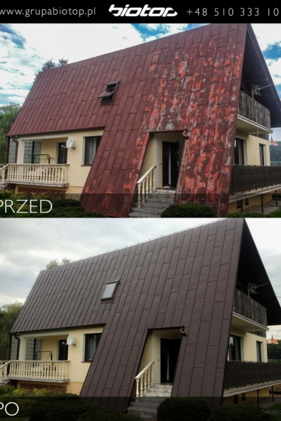 Metamorphose eines Blechdachs