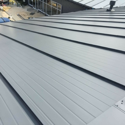 Anstrich von Sandwichpaneeldächern