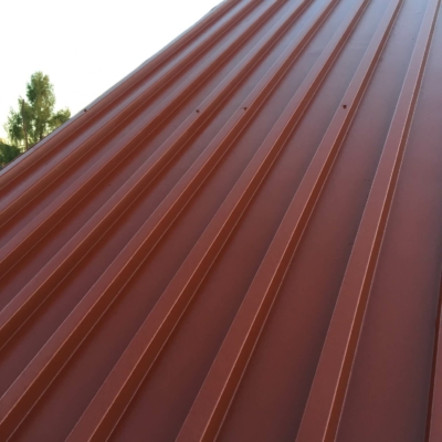 Trapezblechdach mit Royal-Lackierung