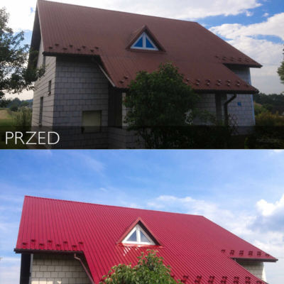 Metamorphose des Daches nach dem Anstrich durch Biotop