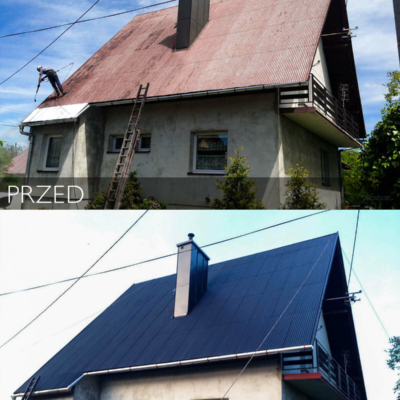 Metamorphose des Daches nach dem Anstrich durch Biotop