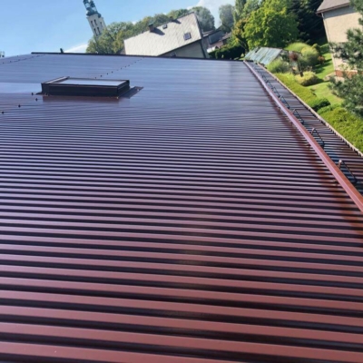 Lackierung von Trapezblechdächern - Royal paint