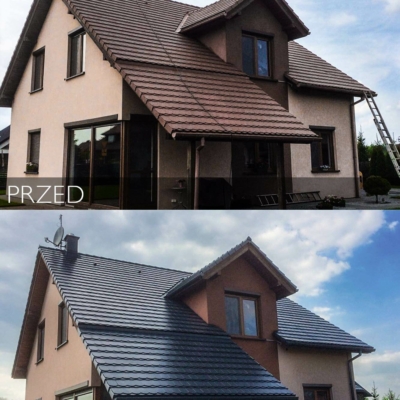 Bemalen einer Biberschwanzfliese - Metamorphose