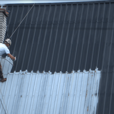 malowanie dachu biotop Malowanie dachy Biotop