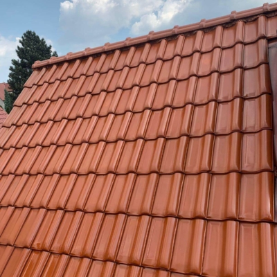 impregnacja-przeciw-mchom-glonom-dachówki-biotop-royal-farba Impregnacja przeciw mchom