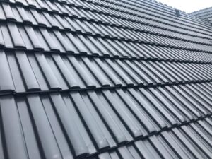 malowanie-dachówki-ceramicznej-betonowej-biotop-cementowej-farba-royal-min