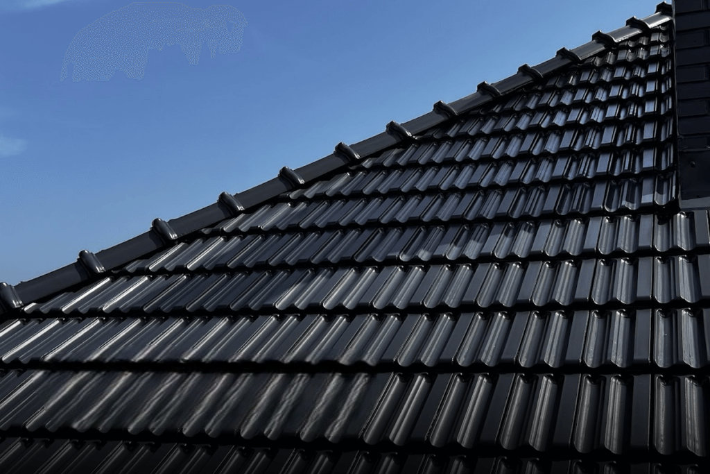 Farbe Schwarz