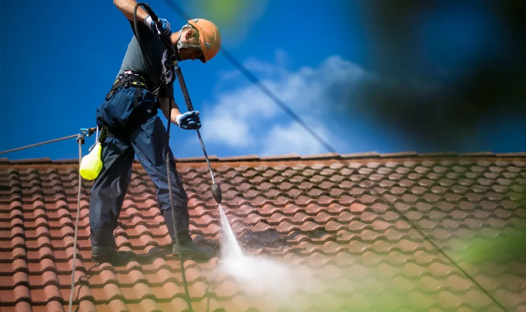 Reinigung von Betondachsteinen