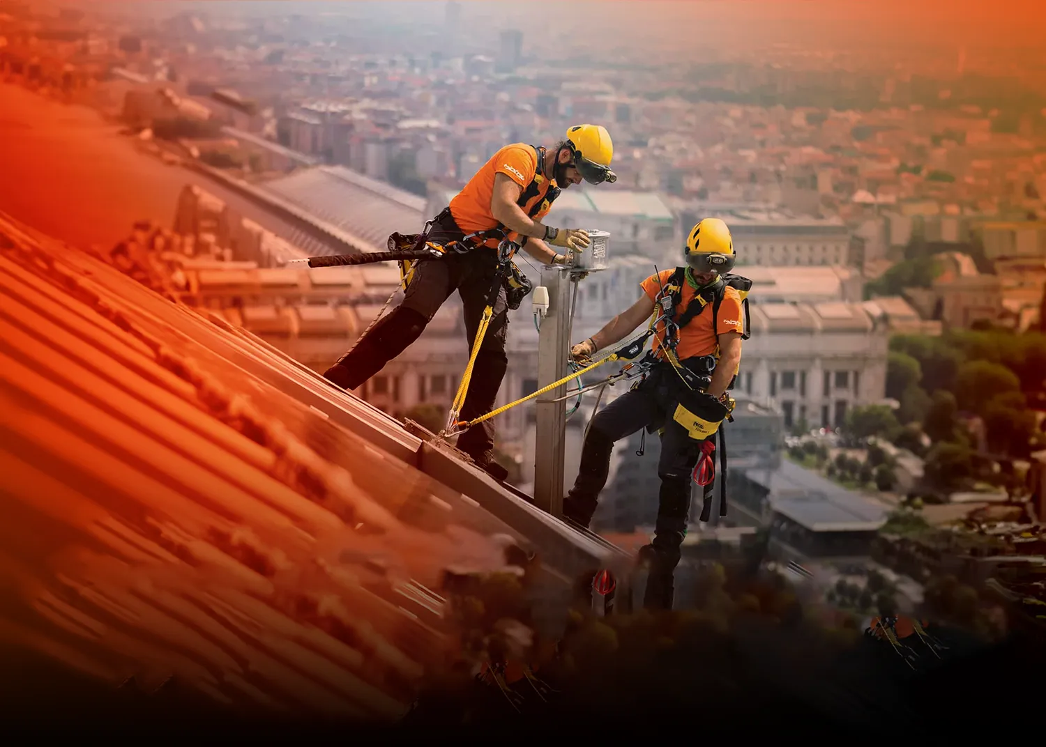 Sicherheit bei Höhenarbeiten in der Biotop Group