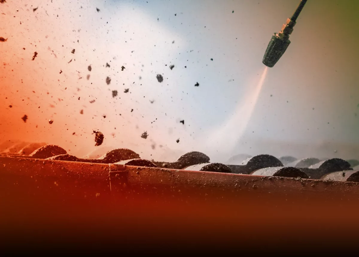 Frühjahrsputz – vergessen Sie nicht auf das Dach